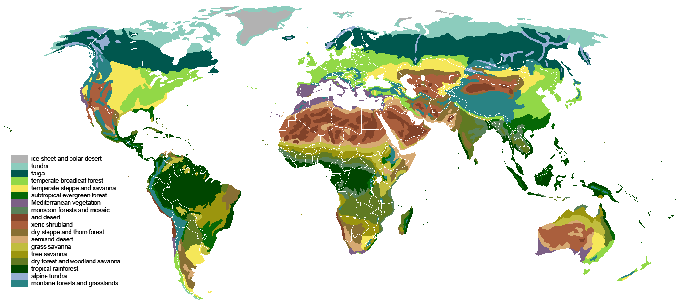 World vegetation map showing global biomes