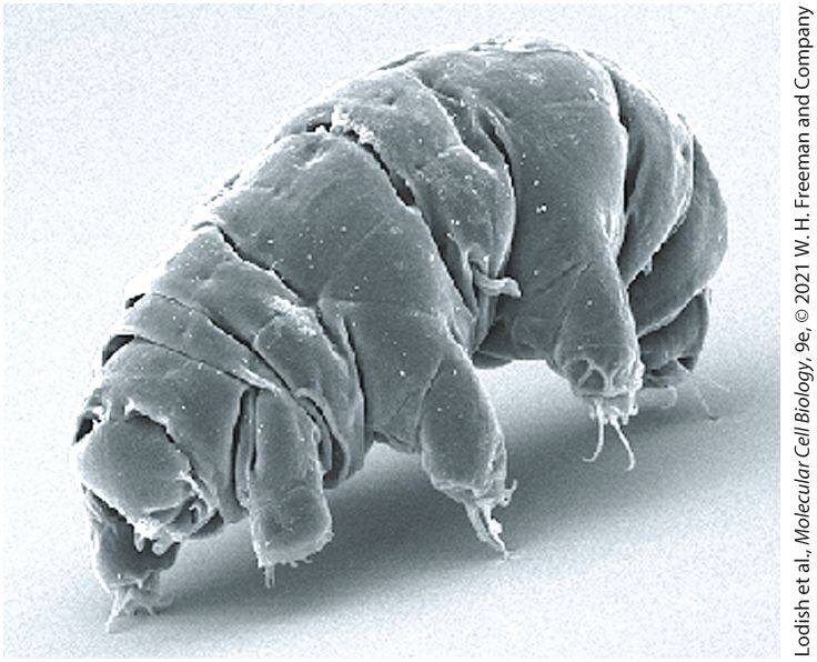 Ch 1 fig (p. 145)