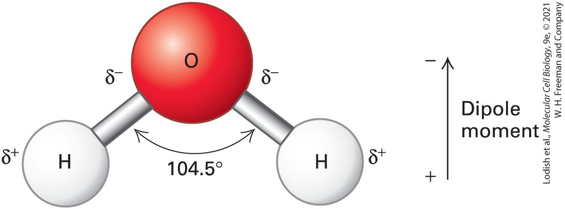 Ch 2 figure