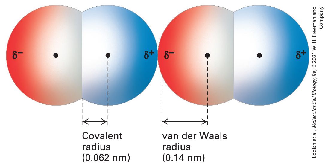 Ch 2 fig (p. 295)
