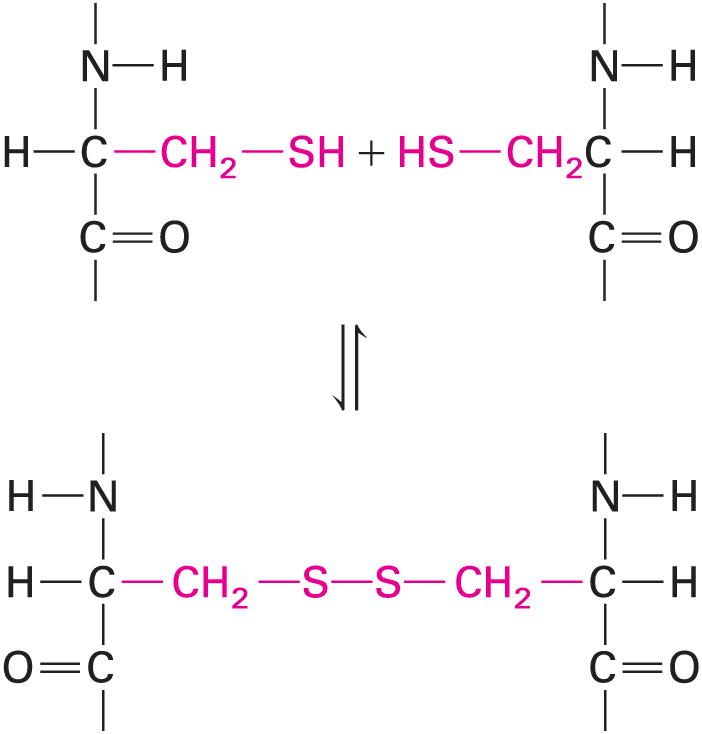 Ch 2 fig (p. 314)