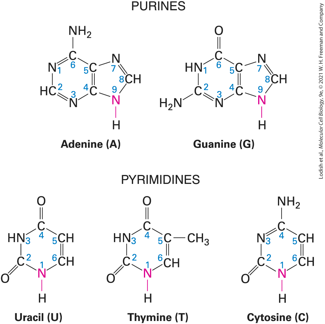 Ch 2 fig (p. 321)