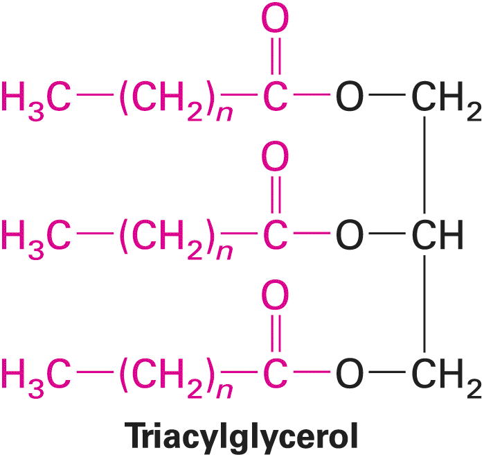 Ch 2 fig (p. 334)