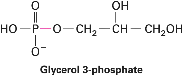 Ch 2 figure