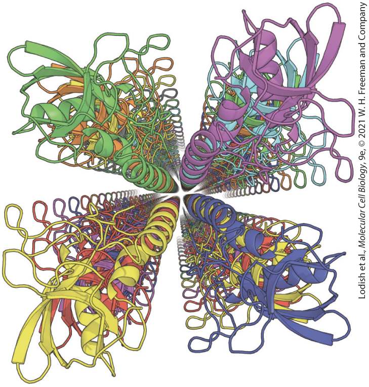 Ch 3 fig (p. 407)