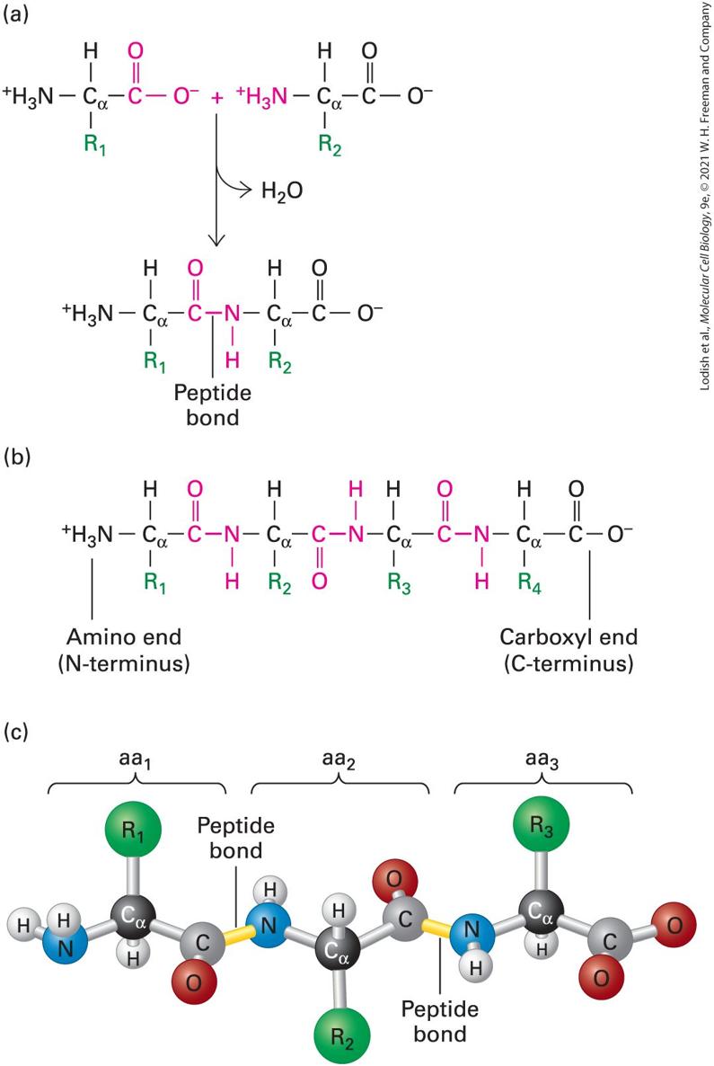 Ch 3 fig (p. 421)