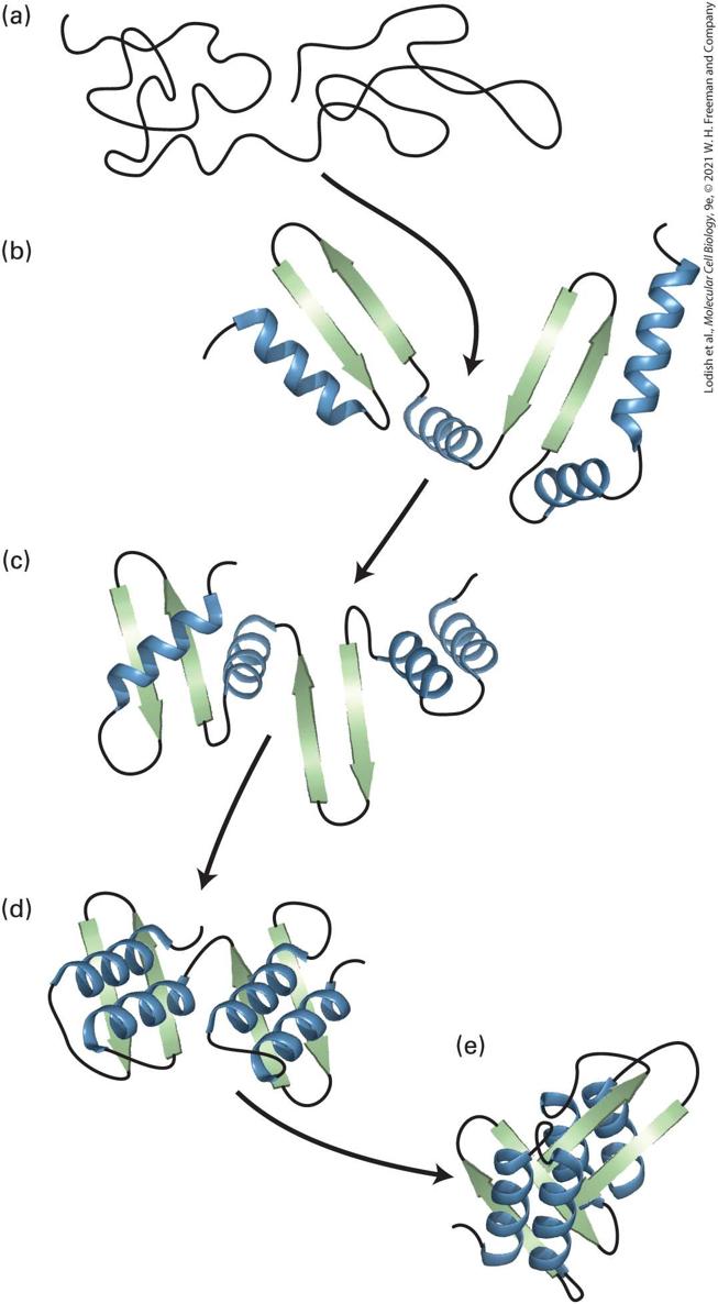Ch 3 fig (p. 485)