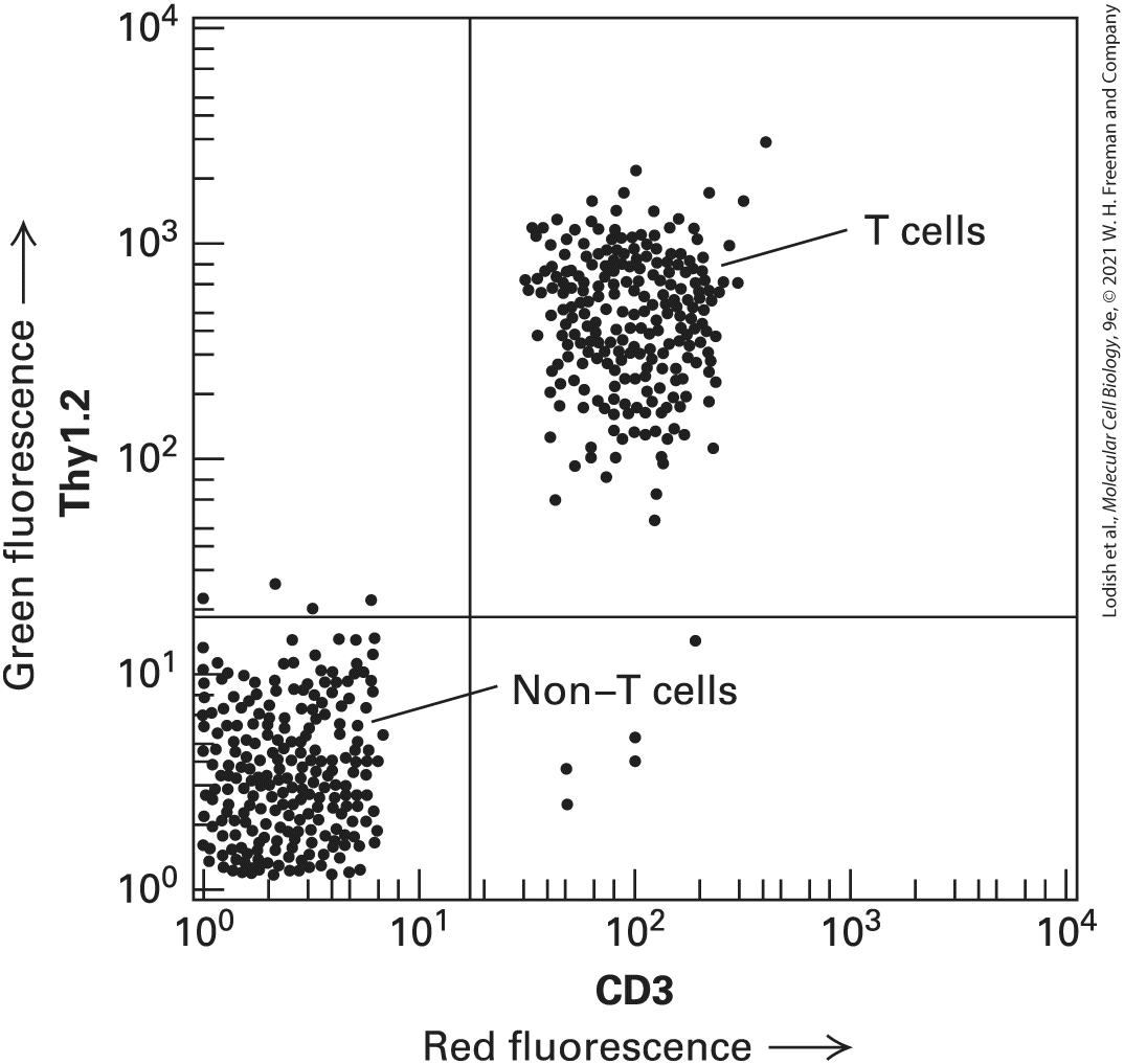 Ch 4 fig (p. 675)