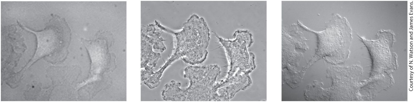 Ch 4 fig (p. 705)