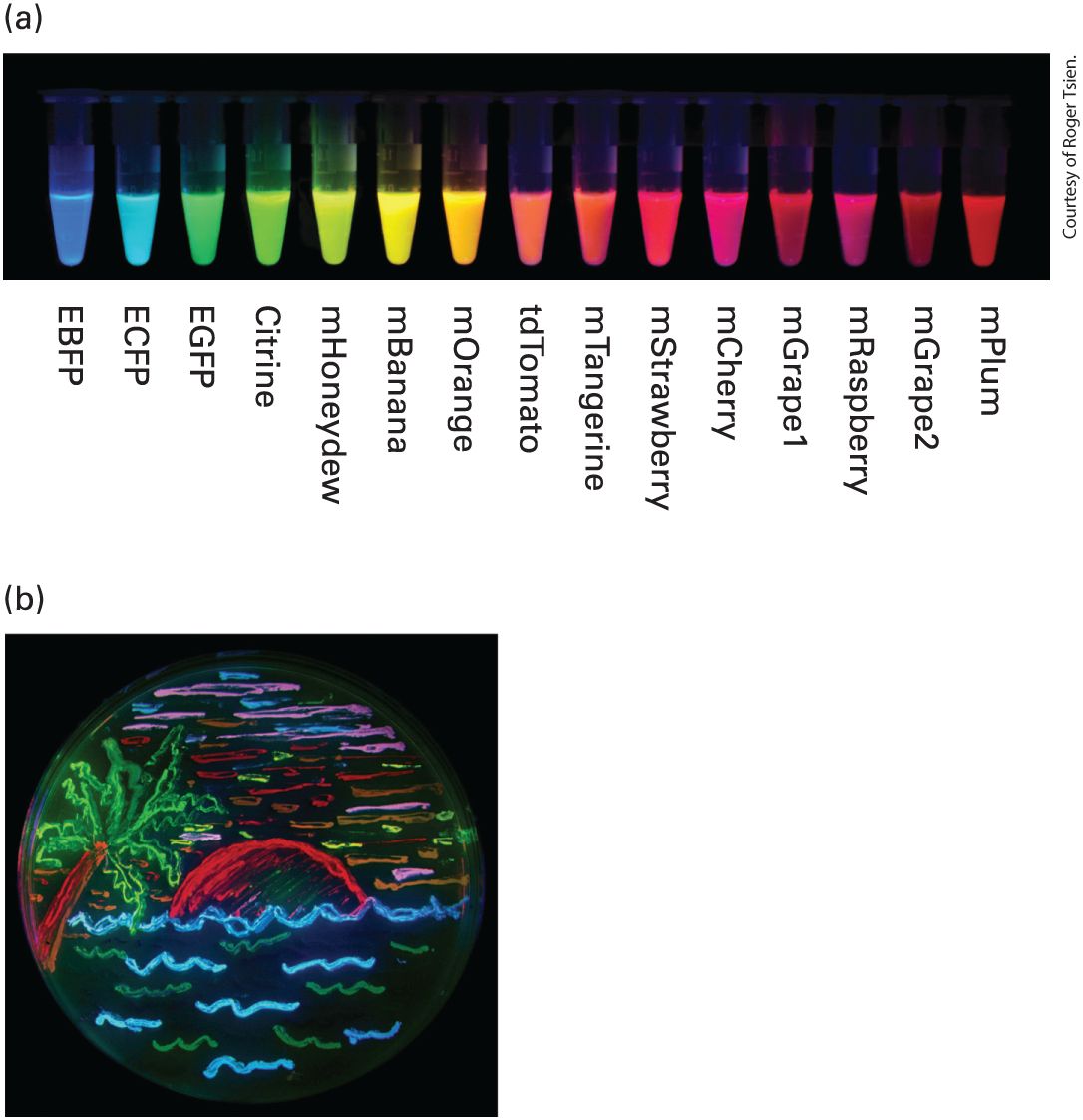 Ch 4 fig (p. 723)