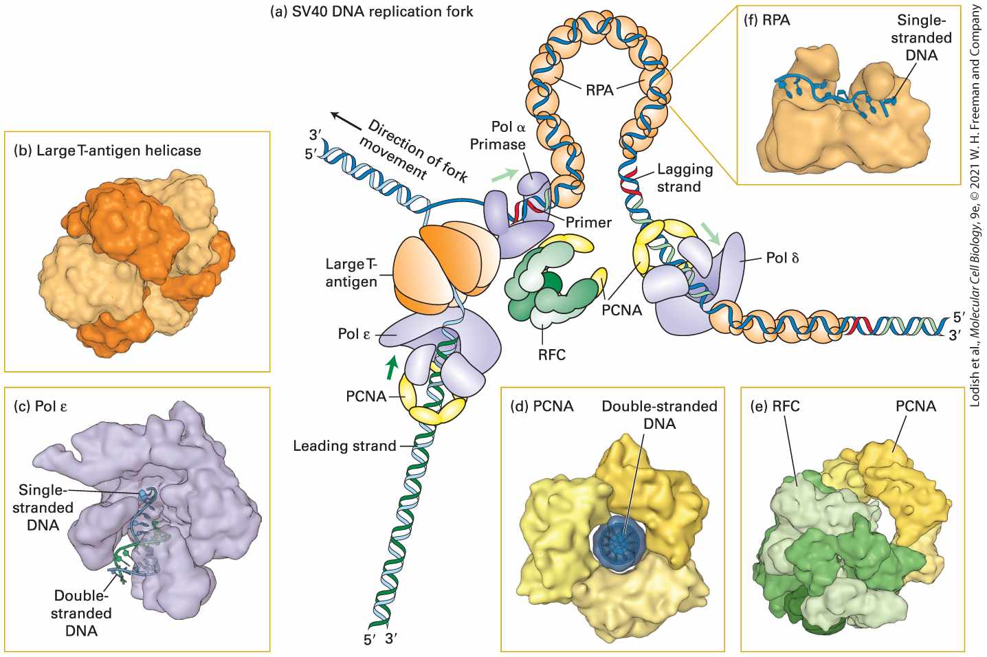 Ch 5 fig (p. 835)
