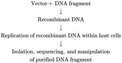 Ch 6 fig (p. 1018)