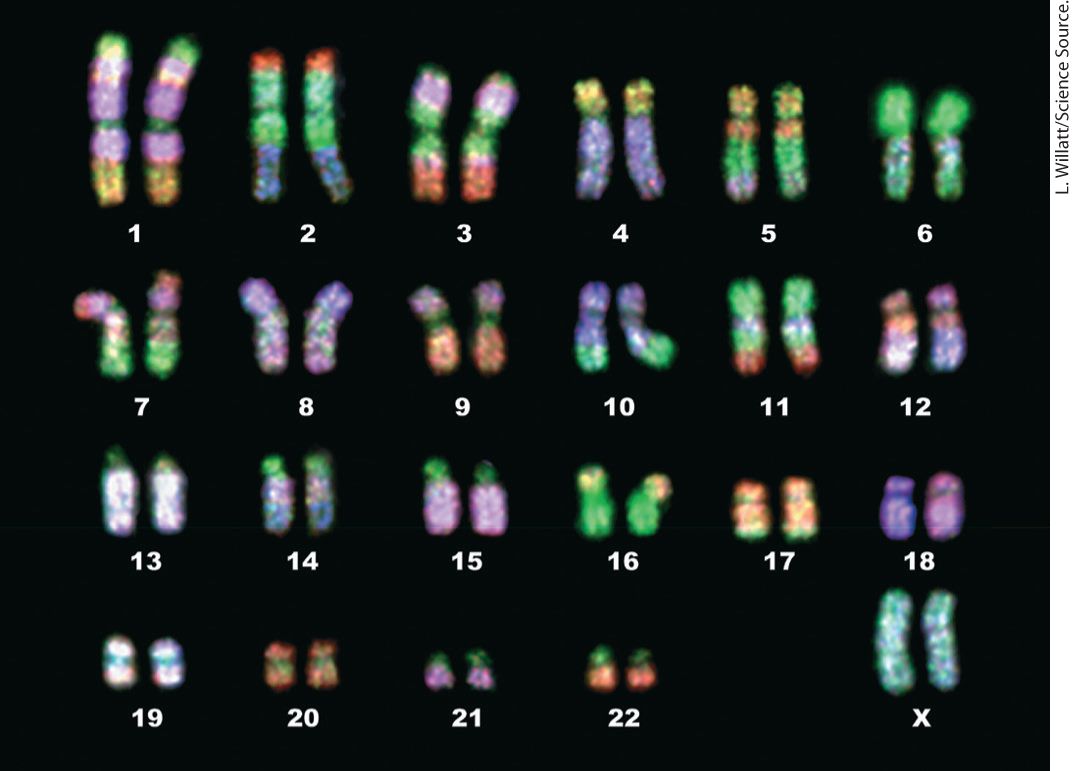 Ch 7 fig (p. 1165)