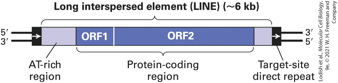 Ch 7 fig (p. 1235)