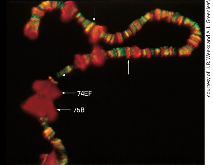 Ch 8 fig (p. 1364)