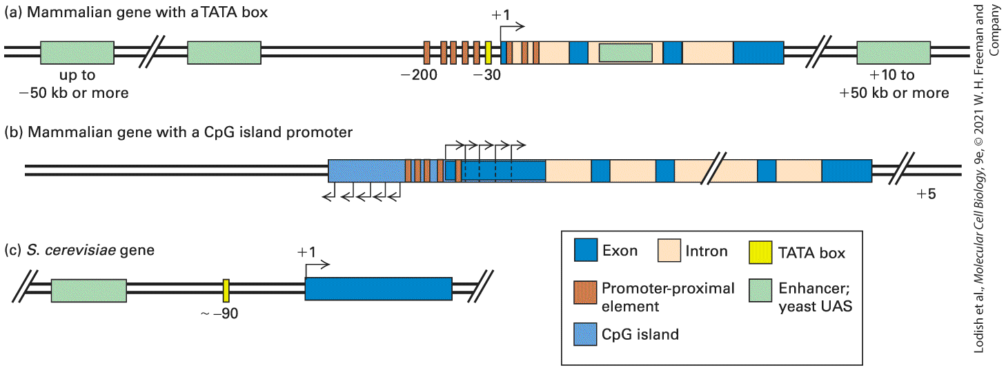 Ch 8 fig (p. 1400)