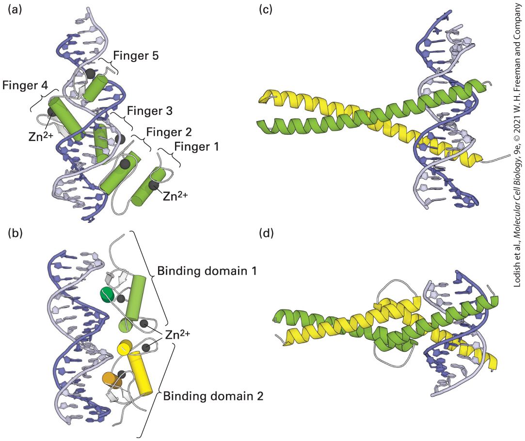 Ch 8 fig (p. 1422)