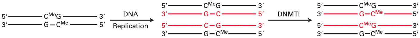 Ch 8 figure