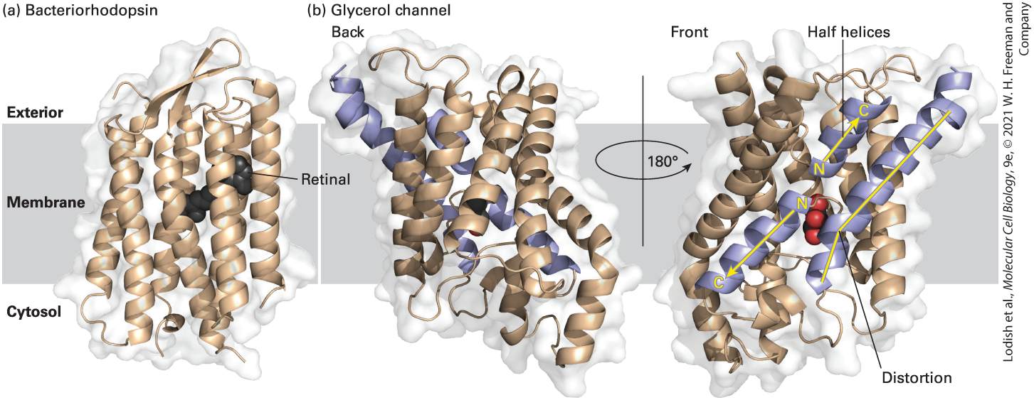 Ch 10 fig (p. 1809)