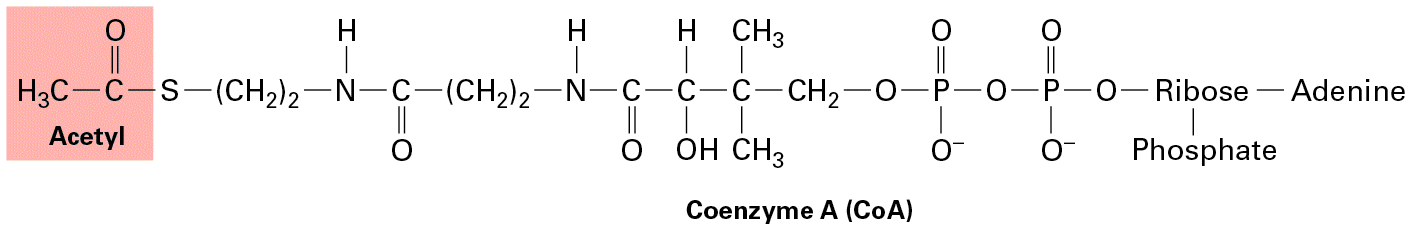 Ch 12 fig (p. 2087)