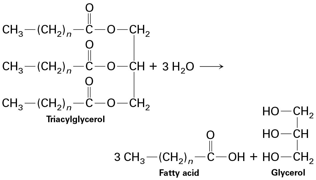 Ch 12 fig (p. 2096)