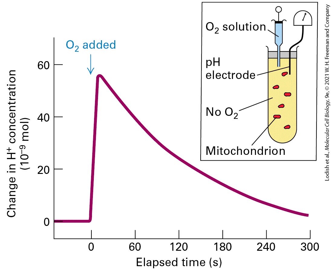 Ch 12 fig (p. 2109)