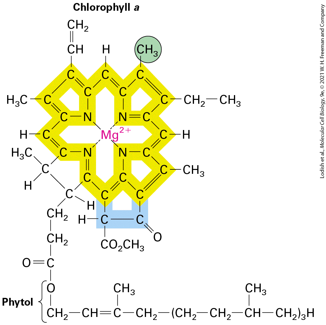 Ch 12 figure