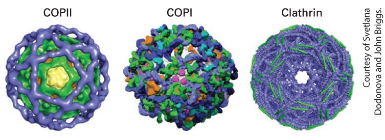 Ch 14 fig (p. 2408)