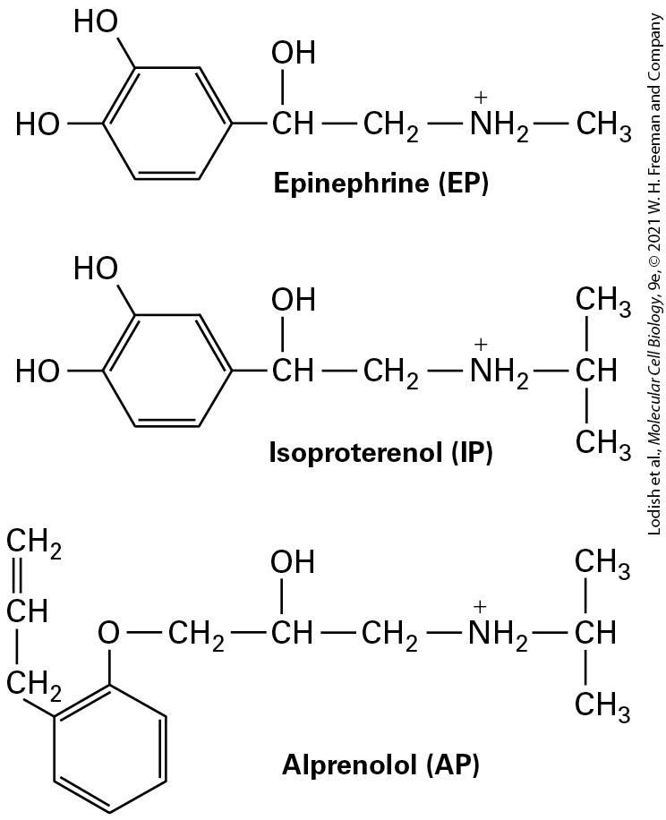 Ch 15 fig (p. 2602)