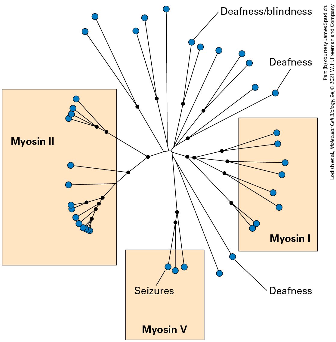 Ch 17 fig (p. 2961)
