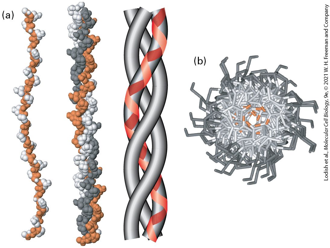 Ch 20 fig (p. 3494)