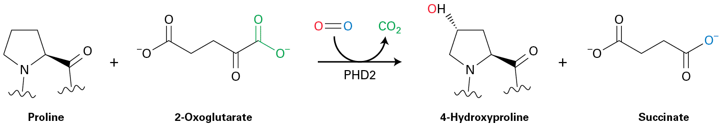 Ch 21 fig (p. 3654)