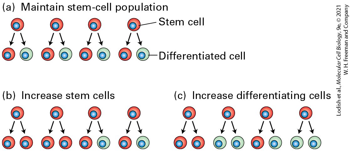 Ch 22 fig (p. 3756)