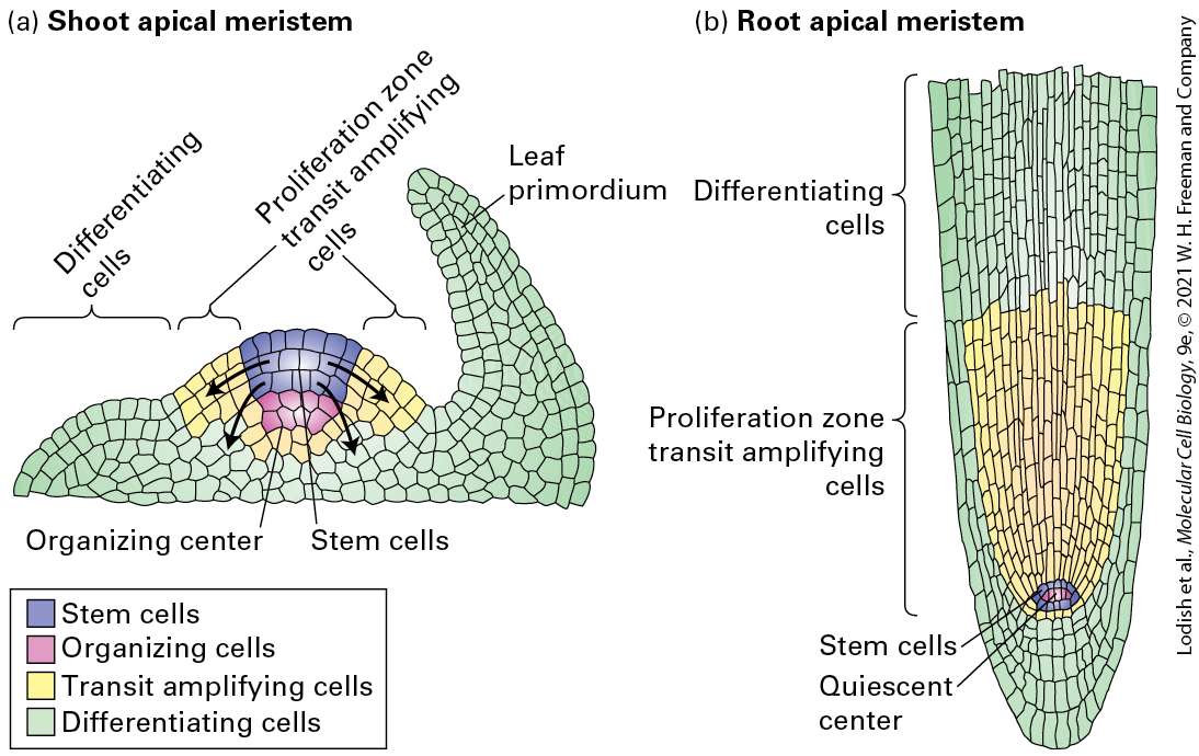 Ch 22 fig (p. 3791)
