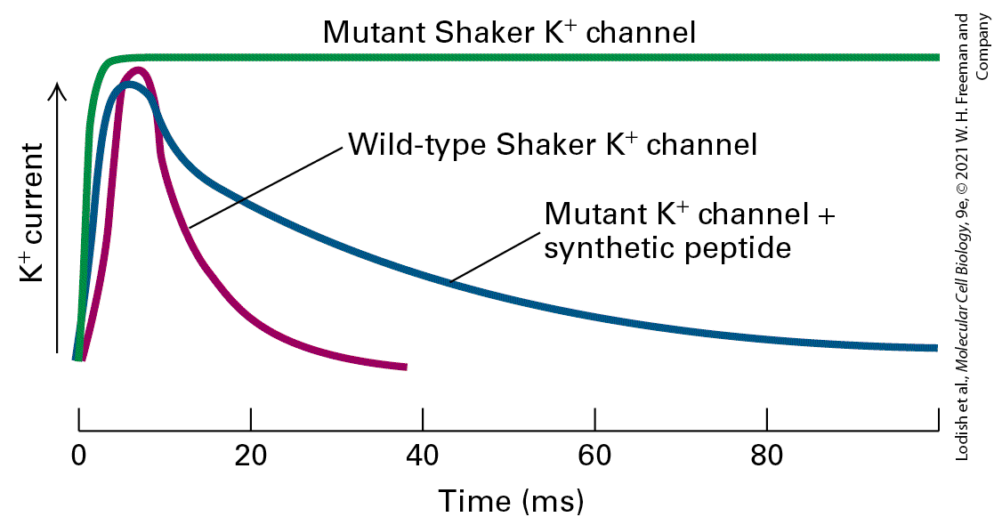 Ch 23 fig (p. 3949)