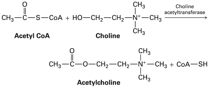 Ch 23 fig (p. 3989)