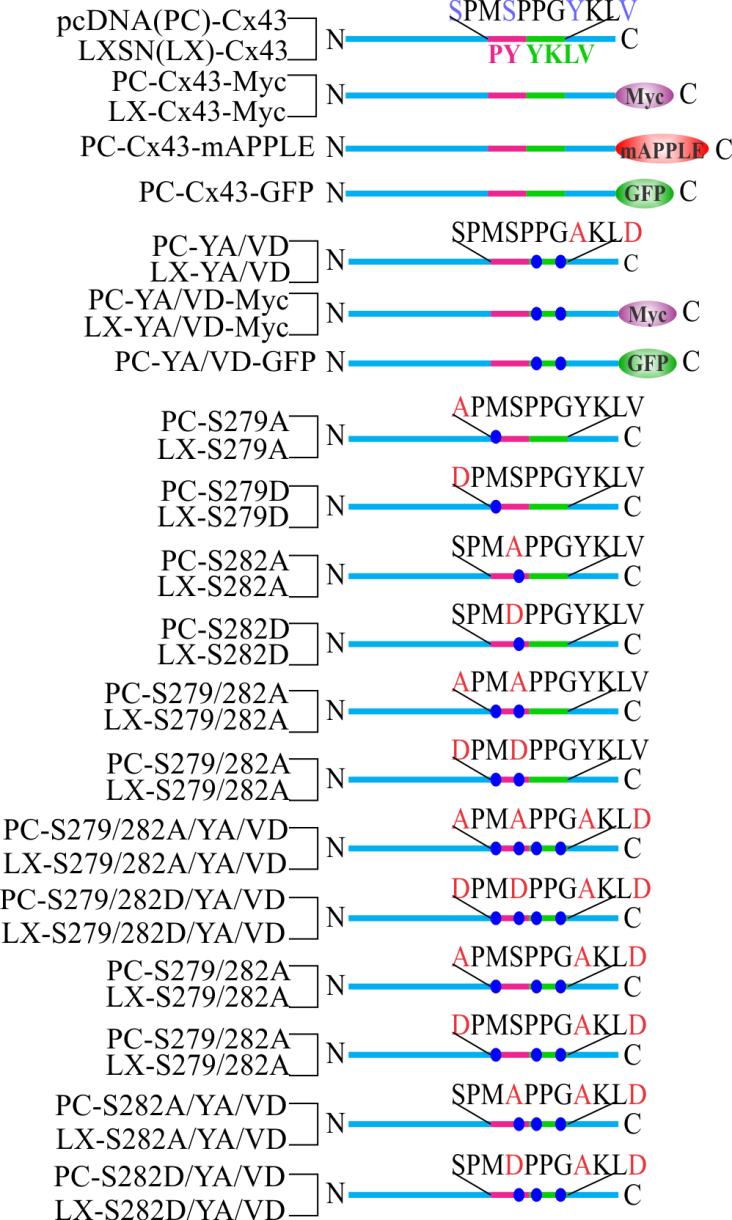 Figure 11 from the Week 1 narrative guide