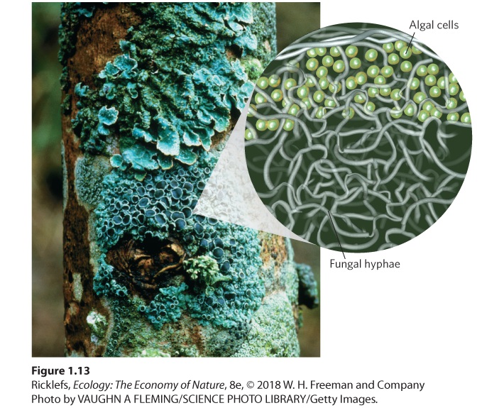 Ch 1 fig (p. 93)