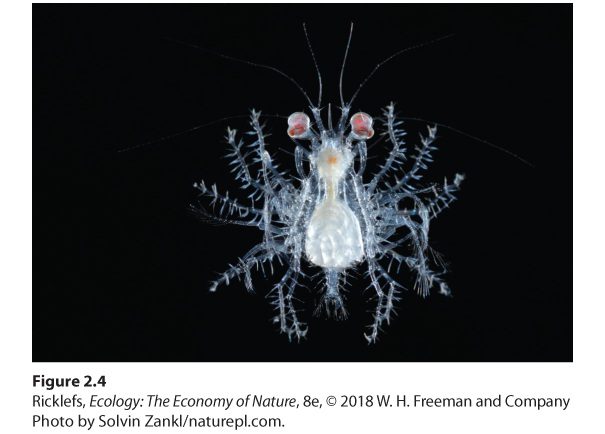 Ch 2 fig (p. 139)