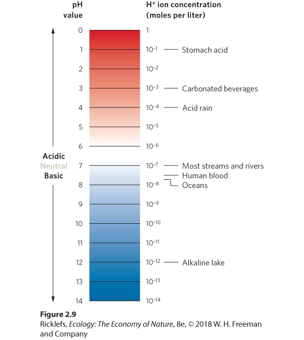 Ch 2 fig (p. 146)