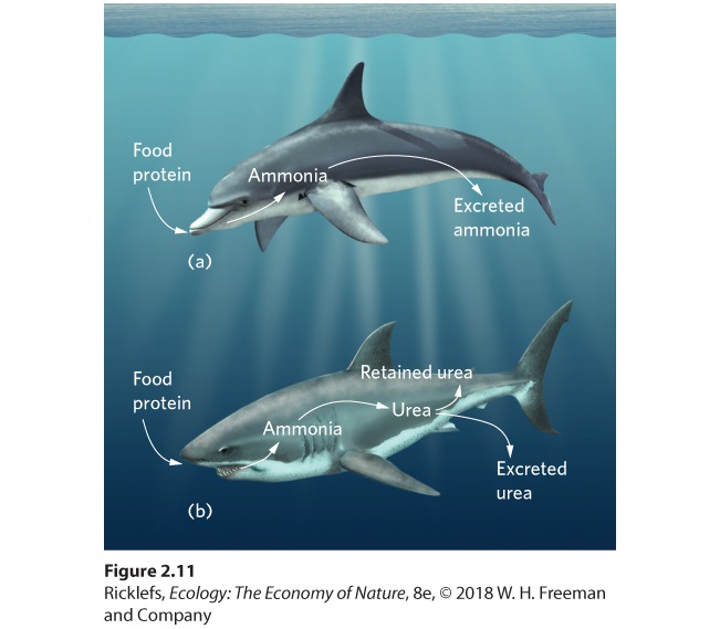 Ch 2 fig (p. 154)