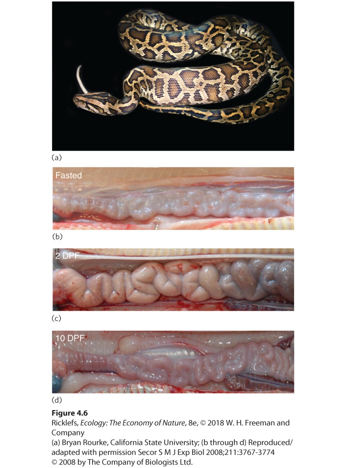 Ch 4 fig (p. 269)