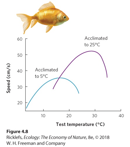 Ch 4 fig (p. 274)