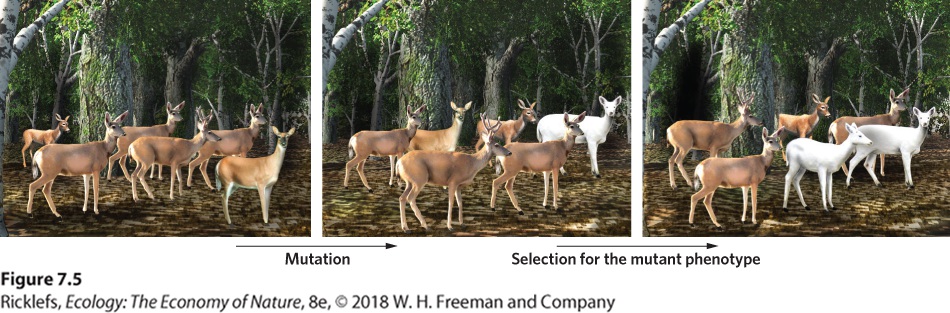 Ch 7 figure