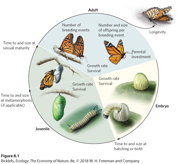 Ch 8 fig (p. 479)