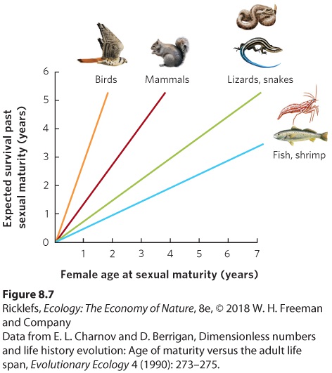 Ch 8 fig (p. 497)