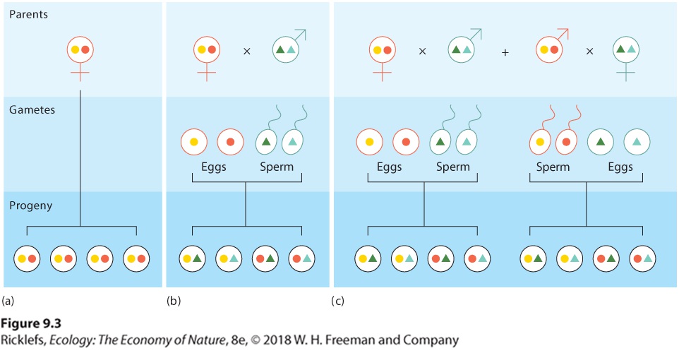 Ch 9 fig (p. 536)