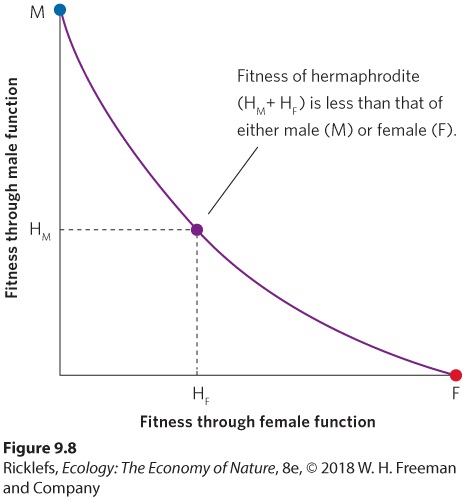 Ch 9 fig (p. 547)
