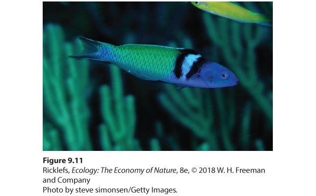 Ch 9 fig (p. 553)