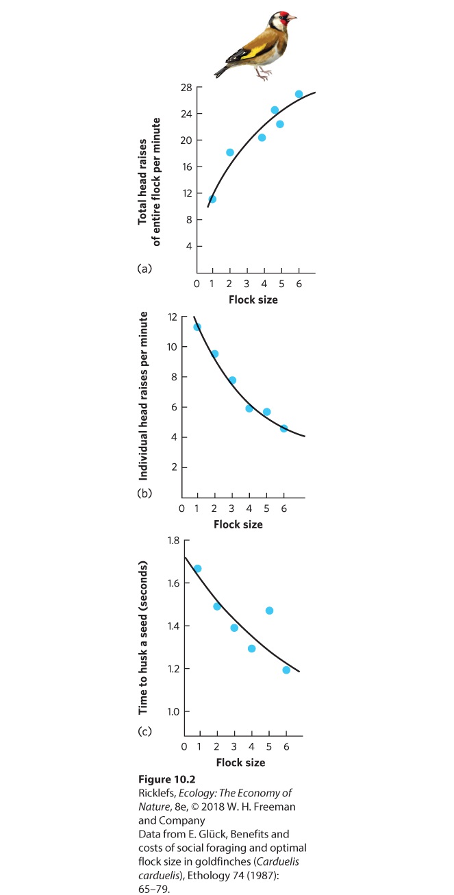 Ch 10 fig (p. 593)